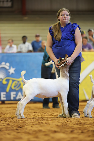 East Texas State Fair - Goat Show-056