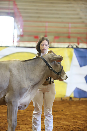 East Texas State Fair - Dairy Show-353