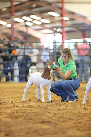 East Texas State Fair - Goat Show-150