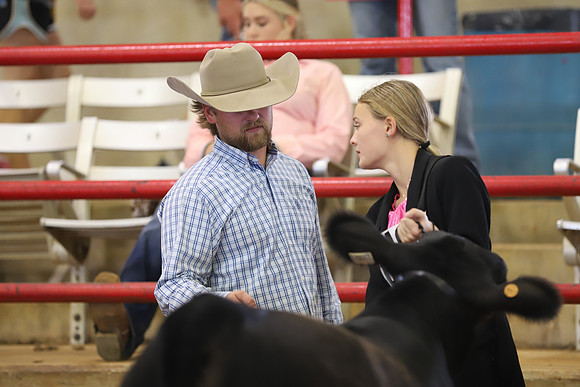 EastTexasStateFair-BritishHeiferShowmanship-28