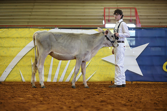 East Texas State Fair - Dairy Show-378