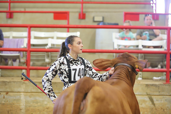 EastTexasStateFair-JBBAHeiferShowmanship-38