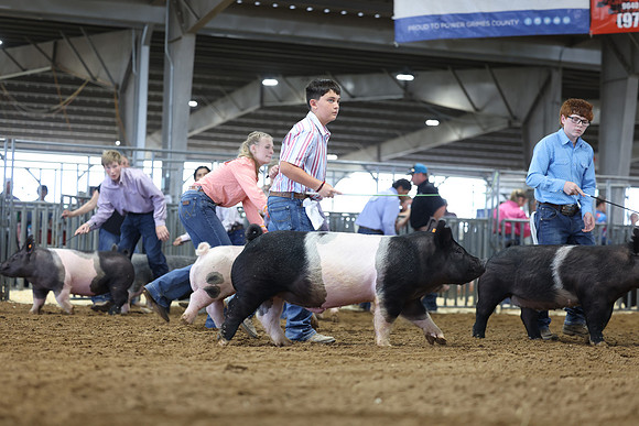 J63A3624
