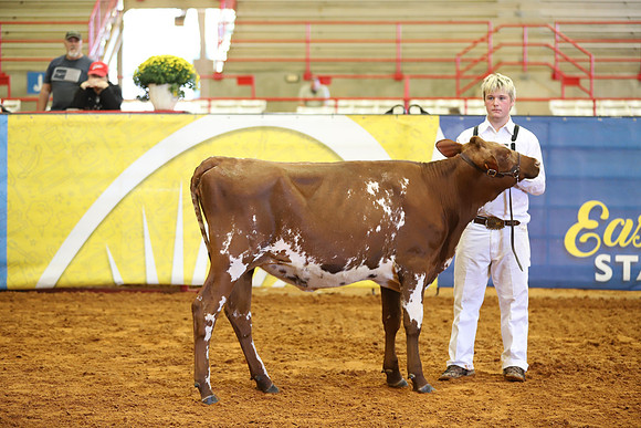 East Texas State Fair - Dairy Show-199
