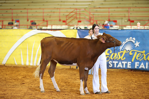 East Texas State Fair - Dairy Show-198