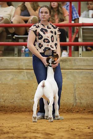 East Texas State Fair - Goat Show-145