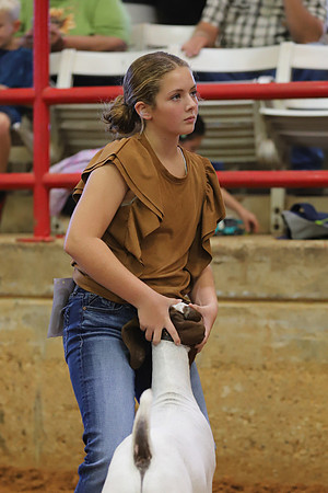 East Texas State Fair - Goat Showmanship-030