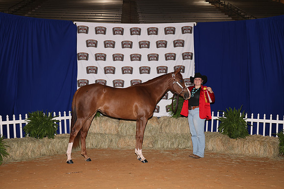 BriannaRohweder_ReserveMare