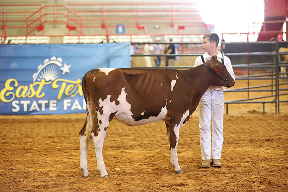 East Texas State Fair - Dairy Show-184