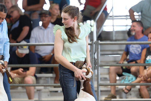 GGR_9939