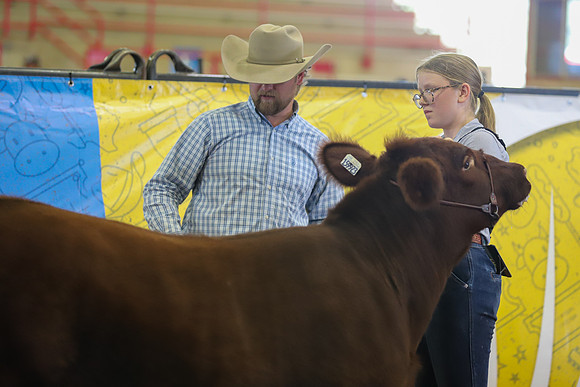EastTexasStateFair-BritishHeiferShowmanship-44