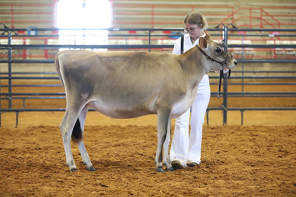 East Texas State Fair - Dairy Show-102