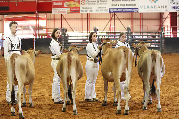East Texas State Fair - Dairy Show-156