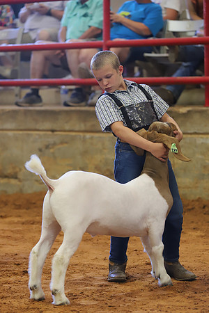 East Texas State Fair - Goat Showmanship-028