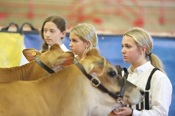 East Texas State Fair - Dairy Show-125
