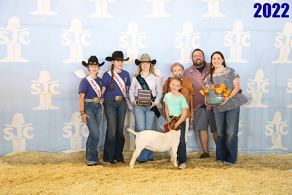 lot 41