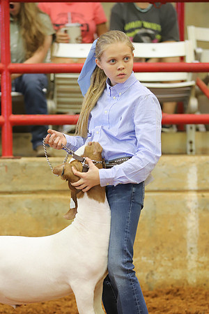 East Texas State Fair - Goat Showmanship-021