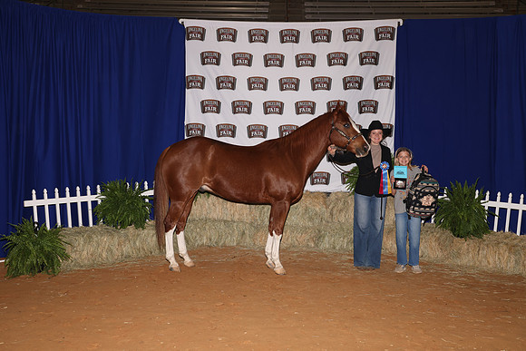 AudraGreene_ReserveGelding