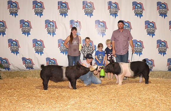 Pig Backdrop 11