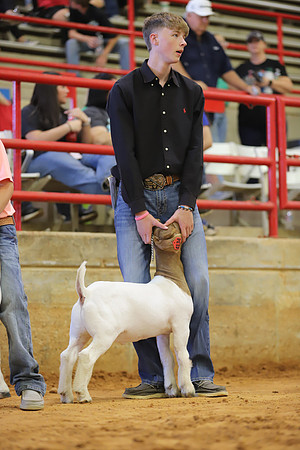 East Texas State Fair - Goat Show-064