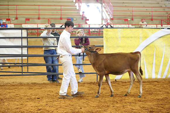 East Texas State Fair - Dairy Show-172