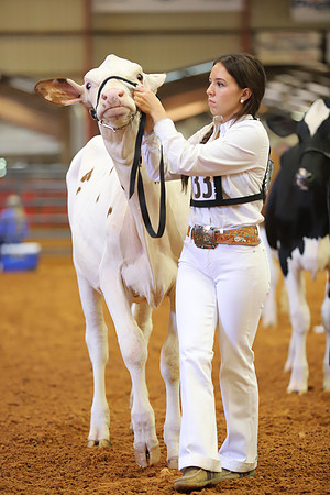 East Texas State Fair - Dairy Show-291