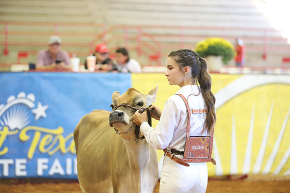 East Texas State Fair - Dairy Show-146