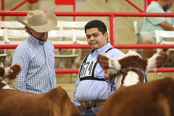 EastTexasStateFair-BritishHeiferShowmanship-23