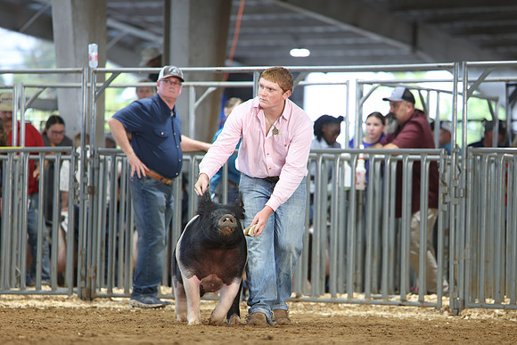 2L6A0353