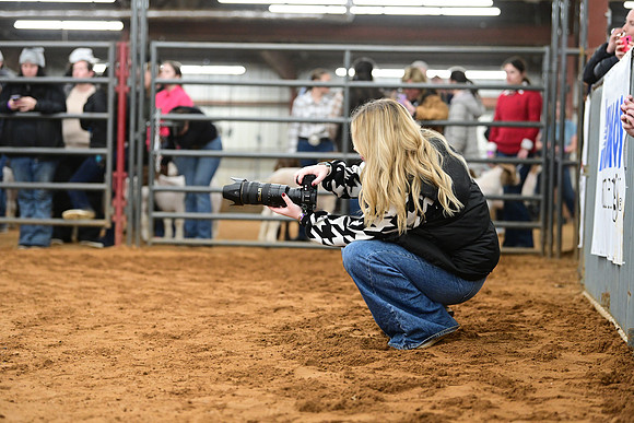 DSC_3062