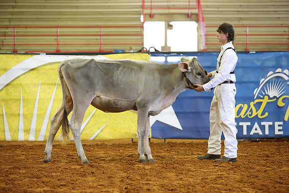 East Texas State Fair - Dairy Show-375