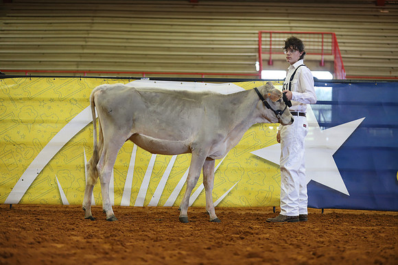 East Texas State Fair - Dairy Show-381