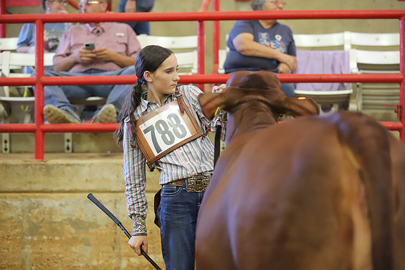 EastTexasStateFair-JBBAHeiferShowmanship-39
