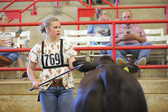 EastTexasStateFair-JBBAHeiferShowmanship-41