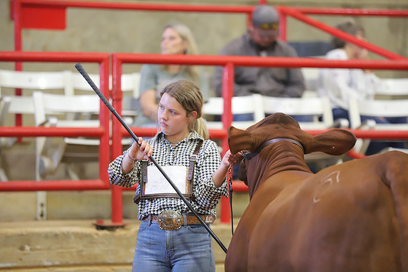 EastTexasStateFair-JBBAHeiferShowmanship-12