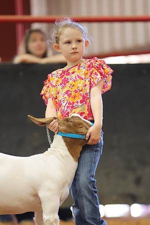 East Texas State Fair - Goat Showmanship-013