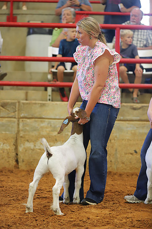 East Texas State Fair - Goat Showmanship-141