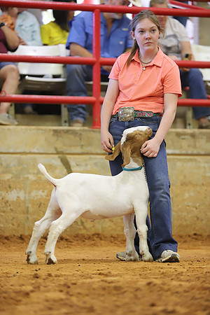 East Texas State Fair - Goat Show-138