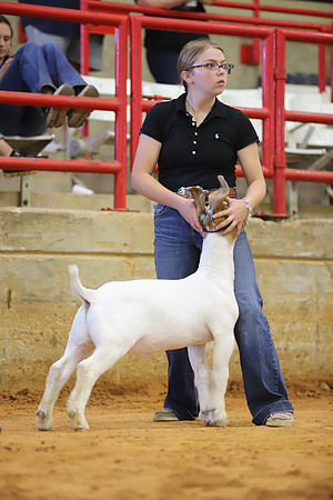 East Texas State Fair - Goat Show-070