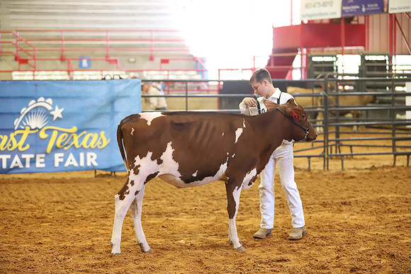 East Texas State Fair - Dairy Show-186