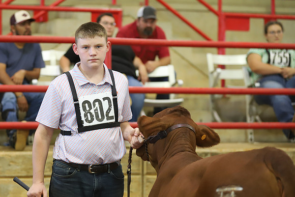 EastTexasStateFair-JBBAHeiferShowmanship-30