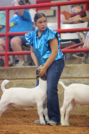 East Texas State Fair - Goat Showmanship-065