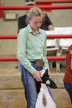 East Texas State Fair - Goat Show-106