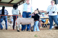 CVW_2424