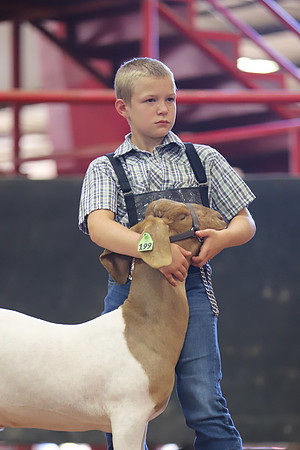 East Texas State Fair - Goat Showmanship-012