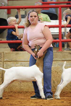 East Texas State Fair - Goat Showmanship-073
