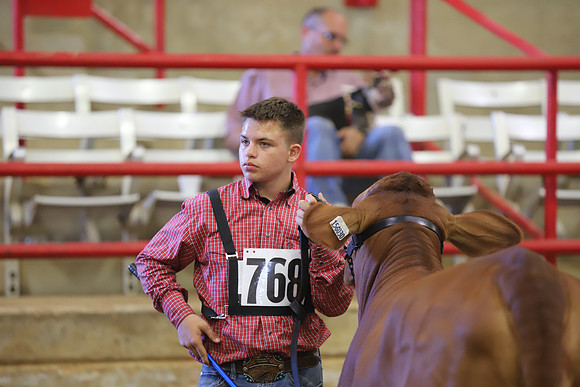 EastTexasStateFair-JBBAHeiferShowmanship-15