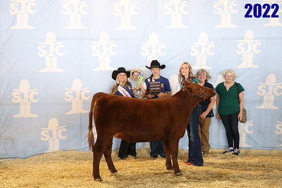 lot 128