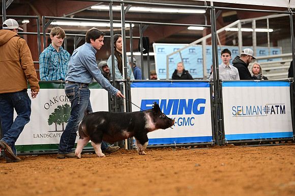 DSC_1884