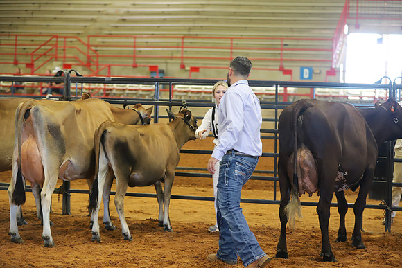 East Texas State Fair - Dairy Show-061